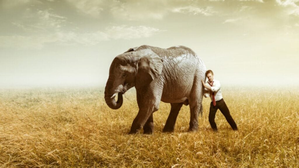 Testardaggine: un guinzaglio che imprigiona