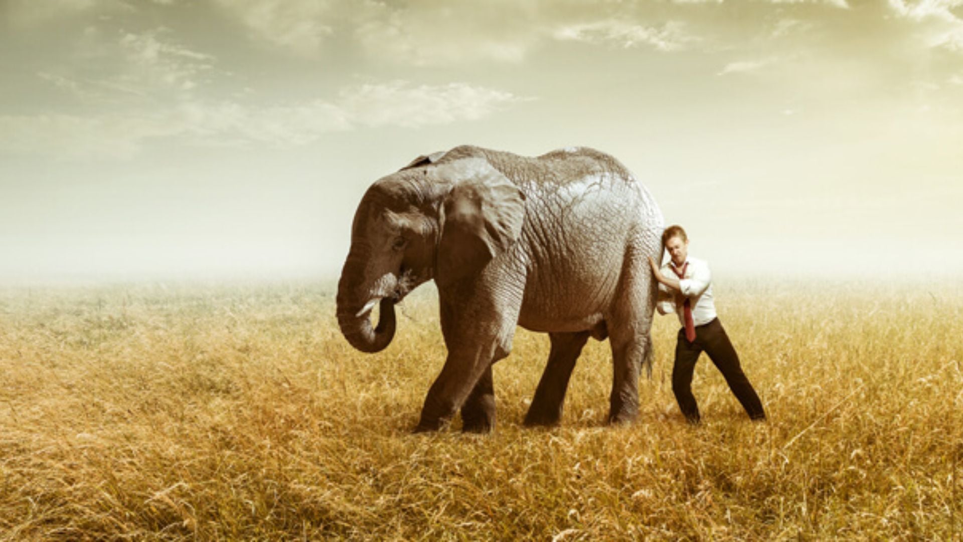 Testardaggine: un guinzaglio che imprigiona