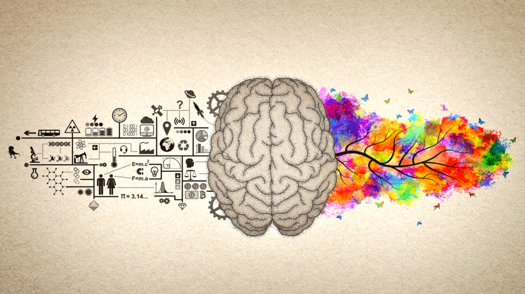 Emisfero destro e sinistro del cervello: quali sono le differenze e cosa controllano