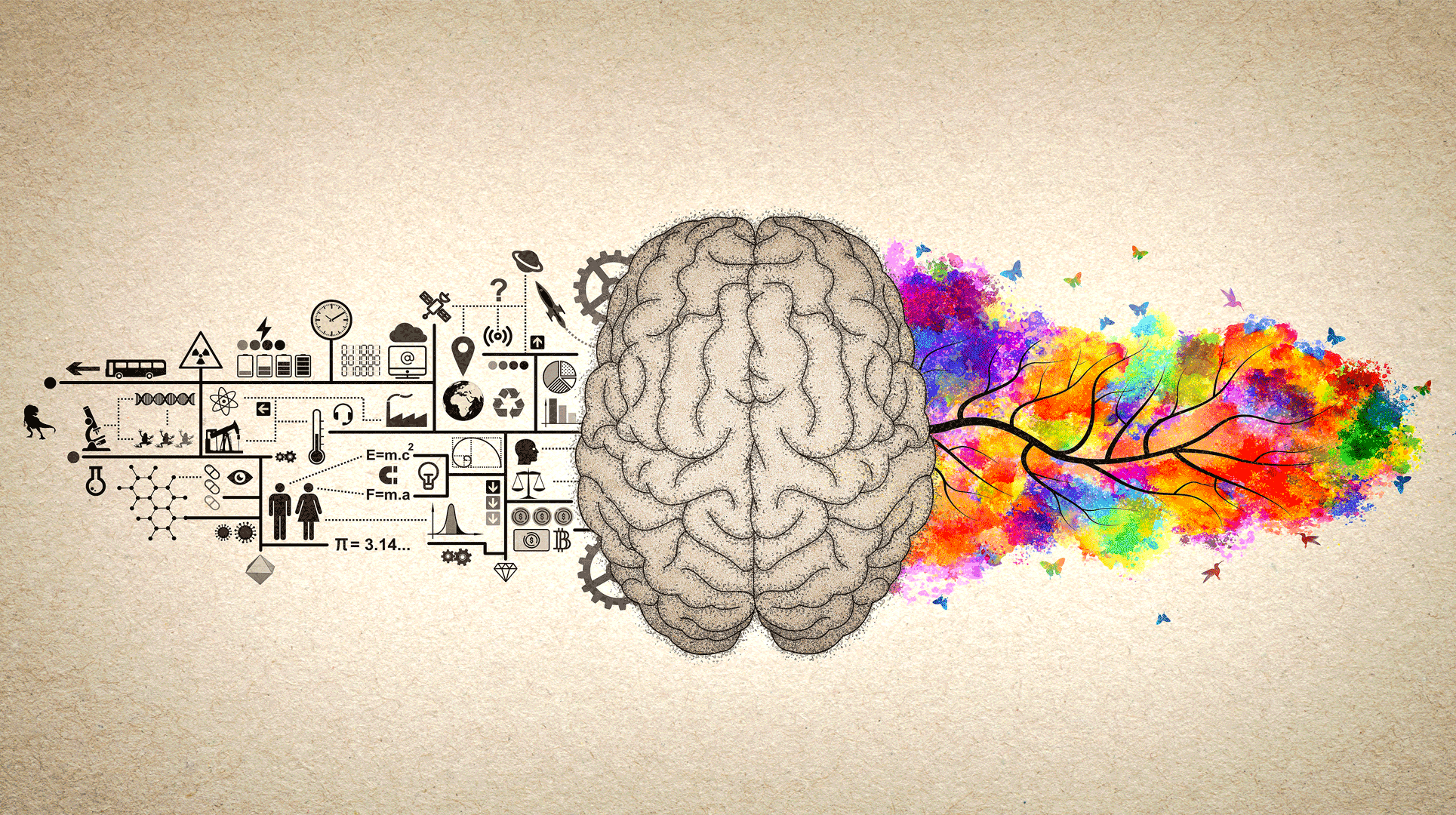 Emisfero destro e sinistro del cervello: quali sono le differenze e cosa controllano