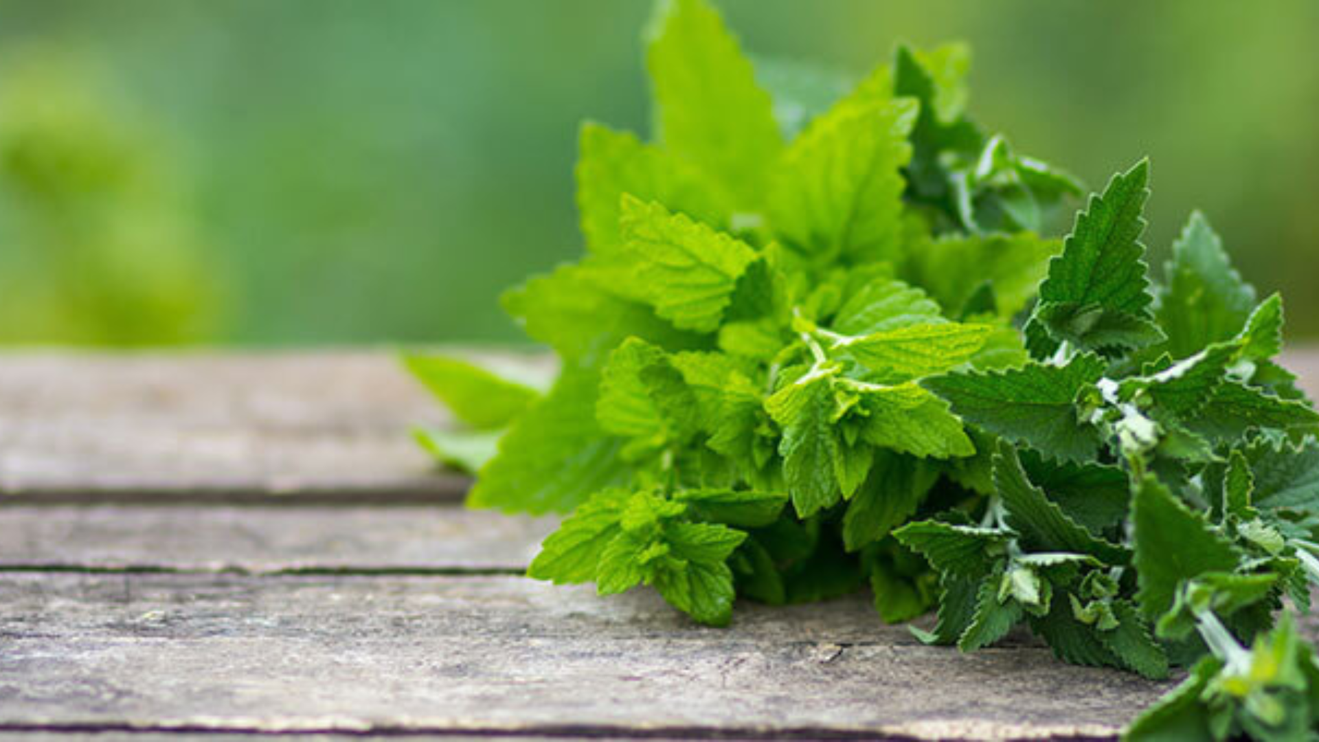 Soffri di ipocondria? Contrastala coi rimedi naturali