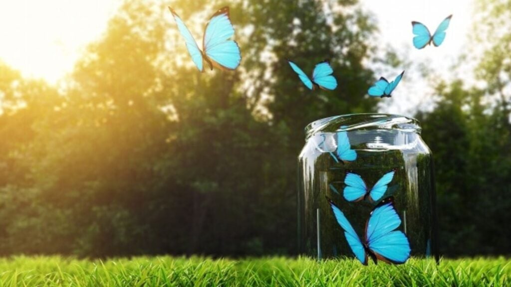 Ansia e paura: cosa fare