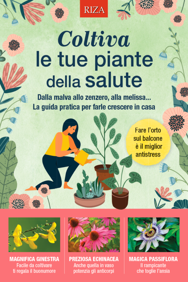 Coltiva le tue piante della salute