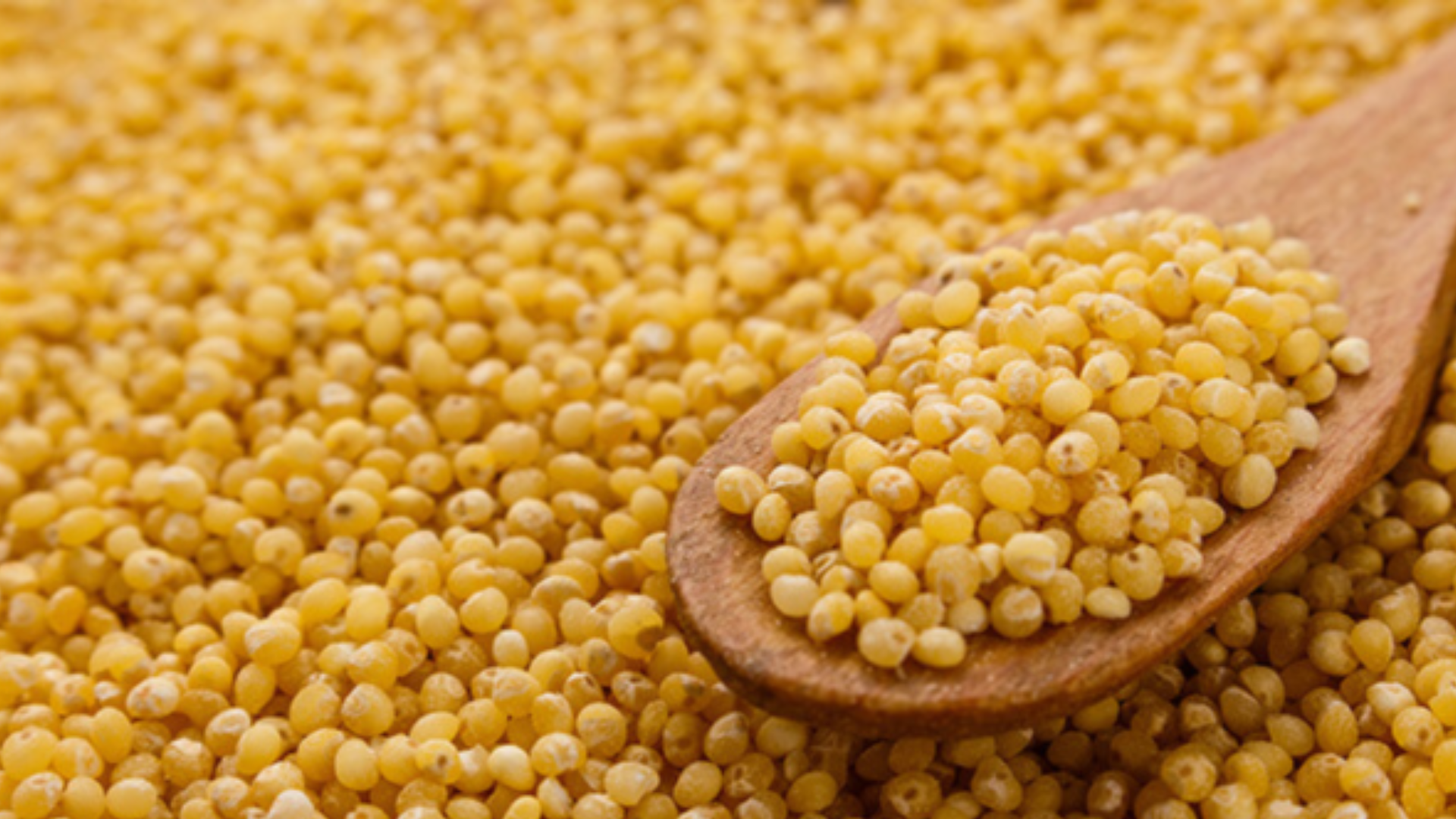 Miglio: un cereale gluten-free per depurare l’intestino