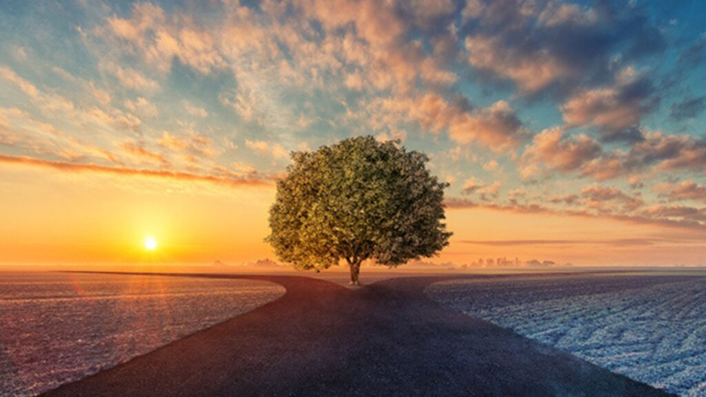 Scegliere davanti a un bivio: ecco come si fa