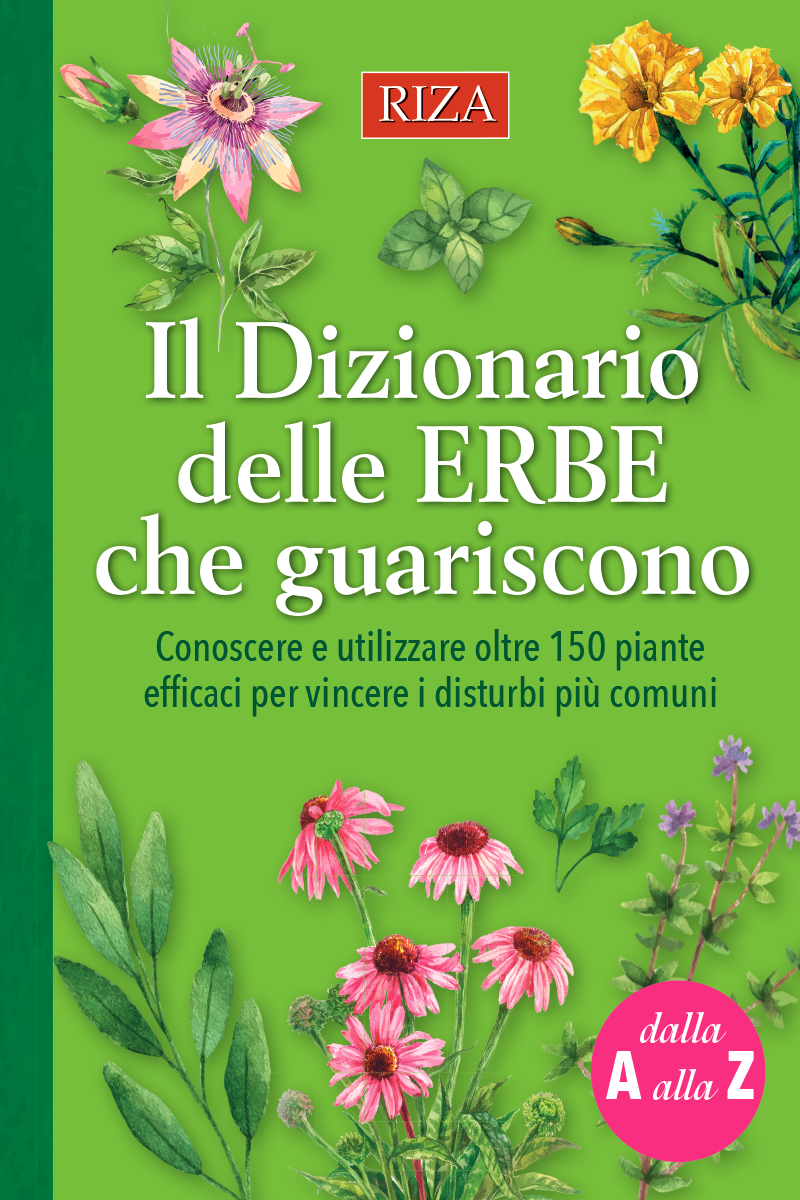 Il dizionario delle erbe che guariscono