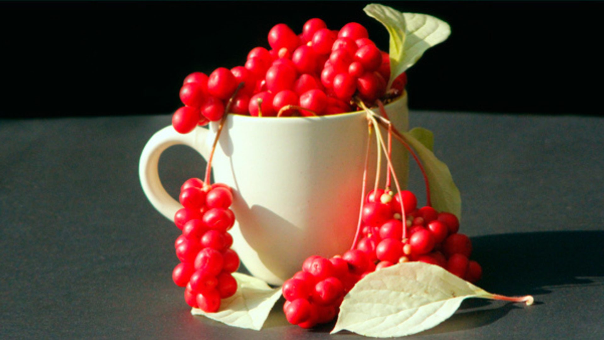 La schisandra ti disintossica, ti ricarica e aumenta le difese