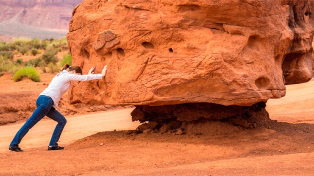 Testardaggine o determinazione? Ecco la differenza