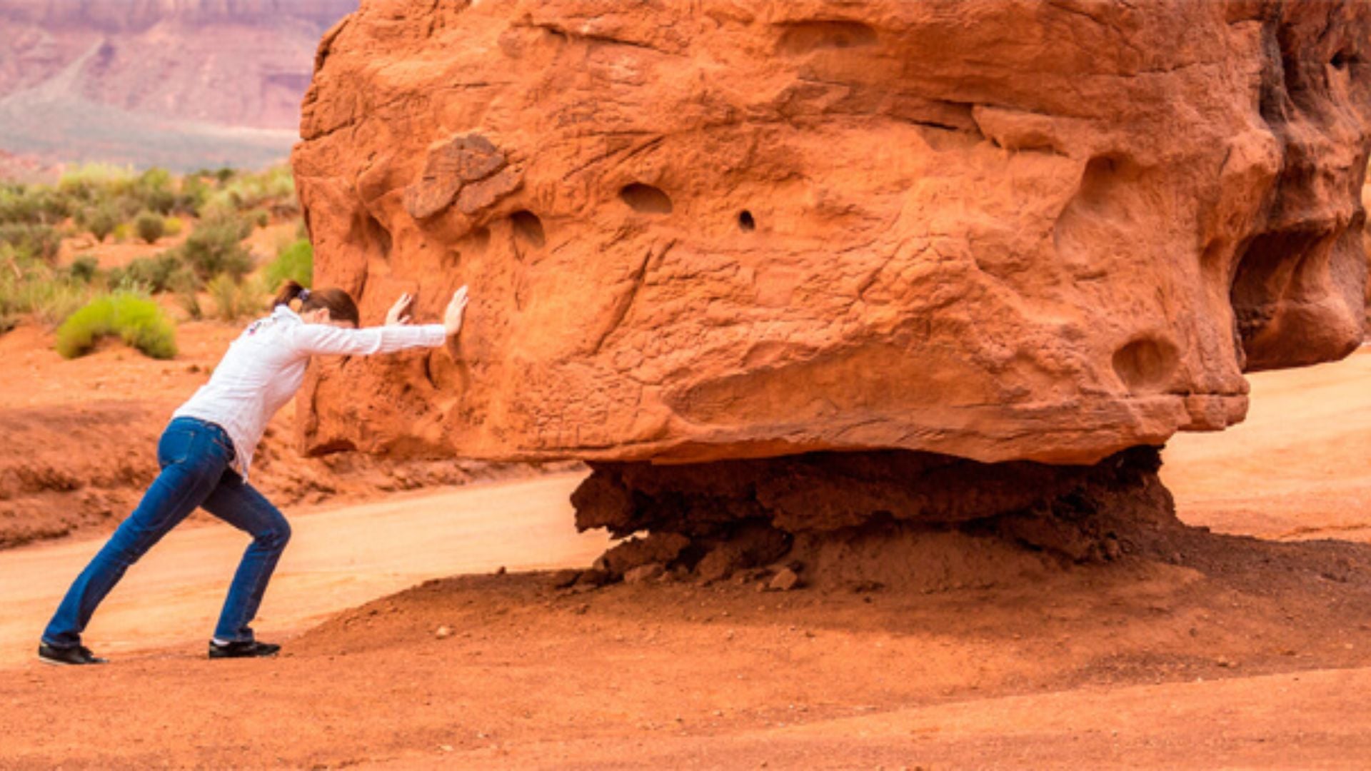 Testardaggine o determinazione? Ecco la differenza