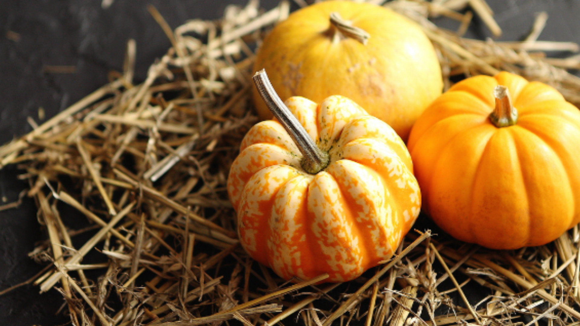 Zucca: proprietà, benefici e controindicazioni