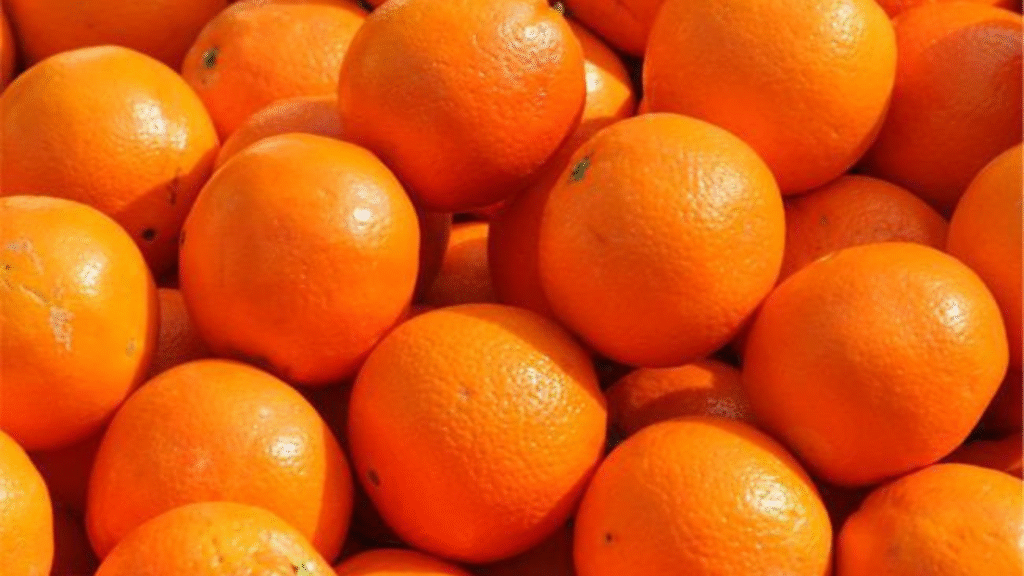 Le mille proprietà dell'arancia: un concentrato di salute in un gustoso frutto