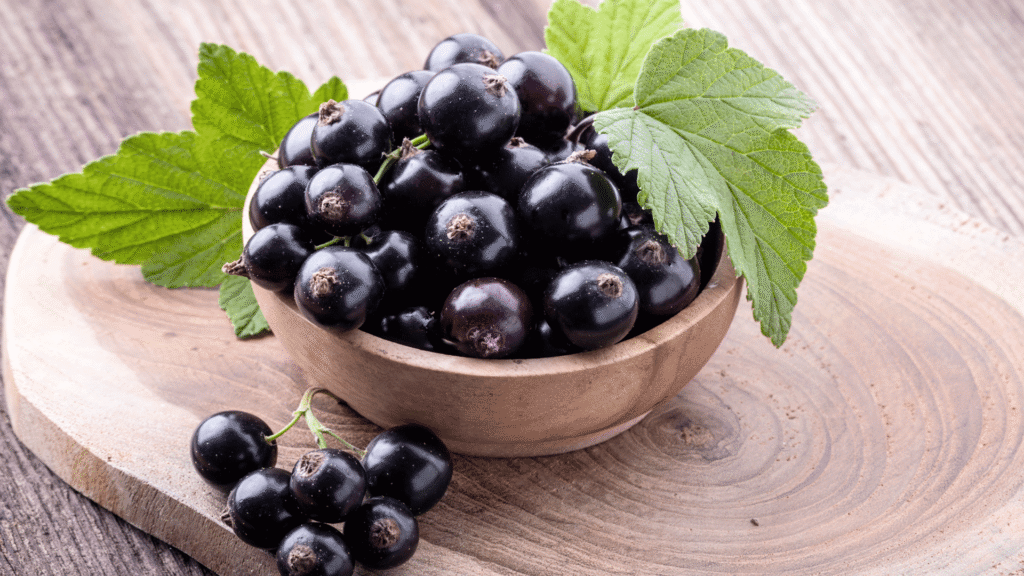 Ribes-nigrum-l-alternativa-naturale-al-cortisone
