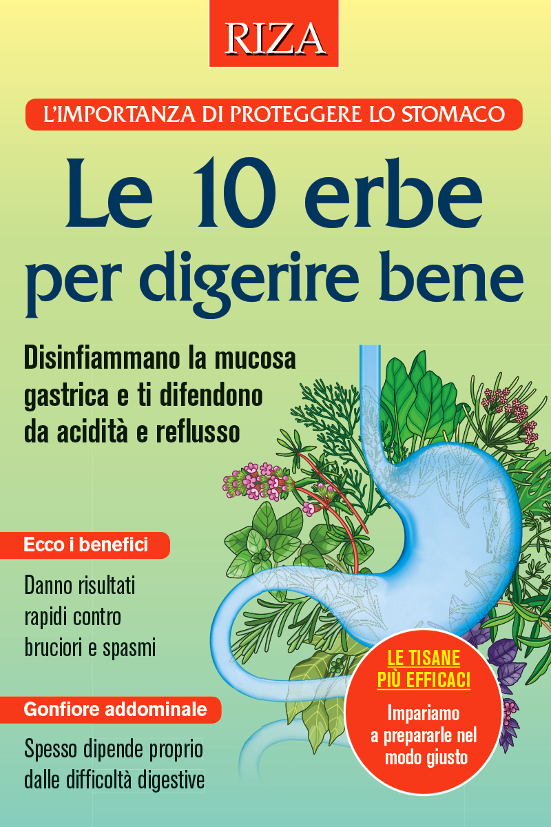 Le 10 erbe per digerire bene