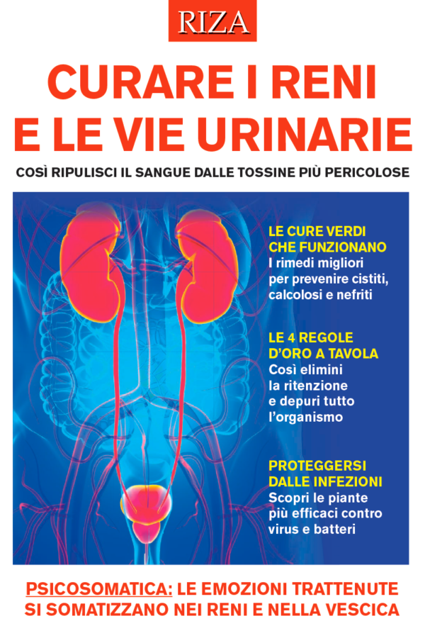 Curare i reni e le vie urinarie