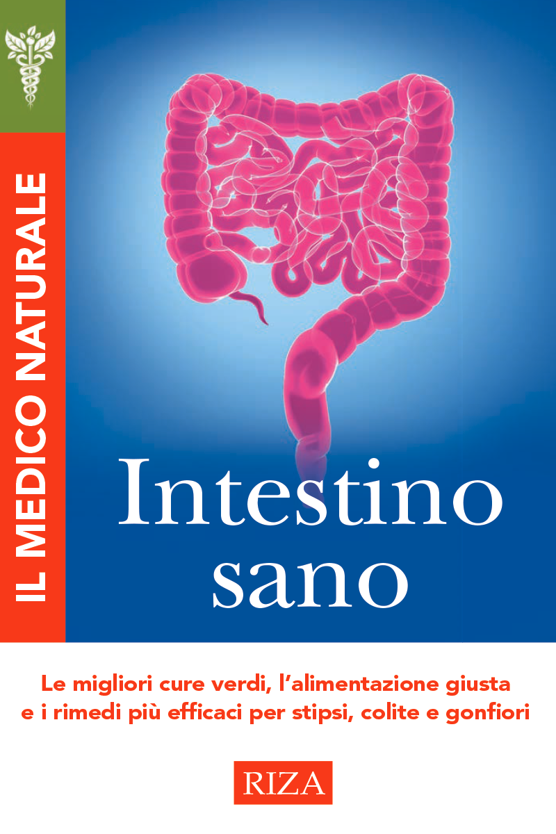 Intestino sano