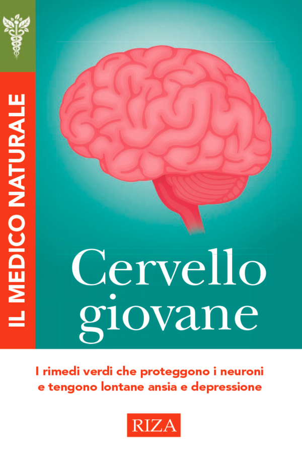 Cervello giovane