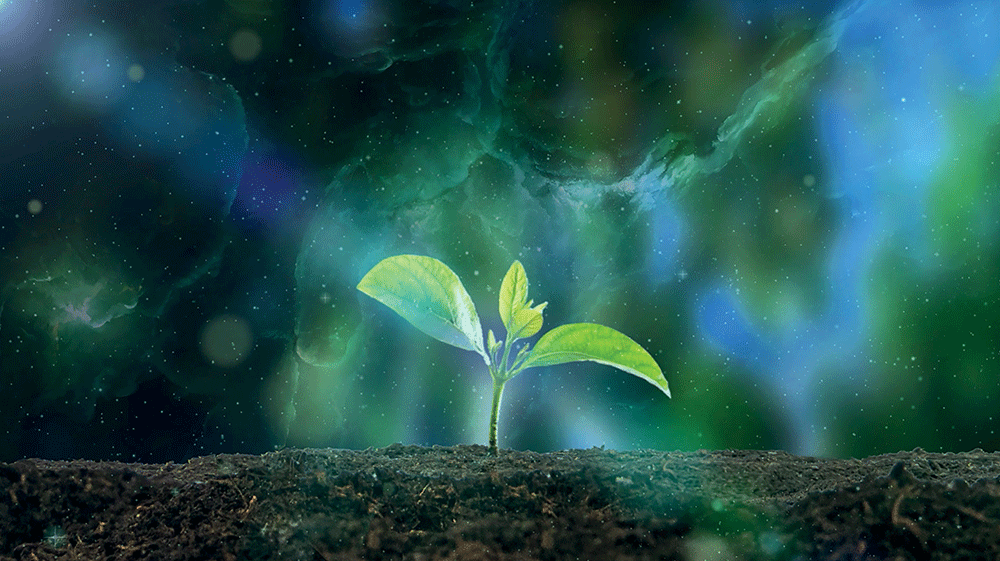 1. Come prepararti a un buon sonno