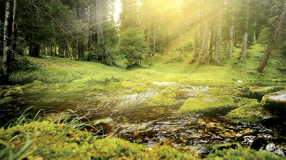 5. Ricaricati di energia fin dal mattino