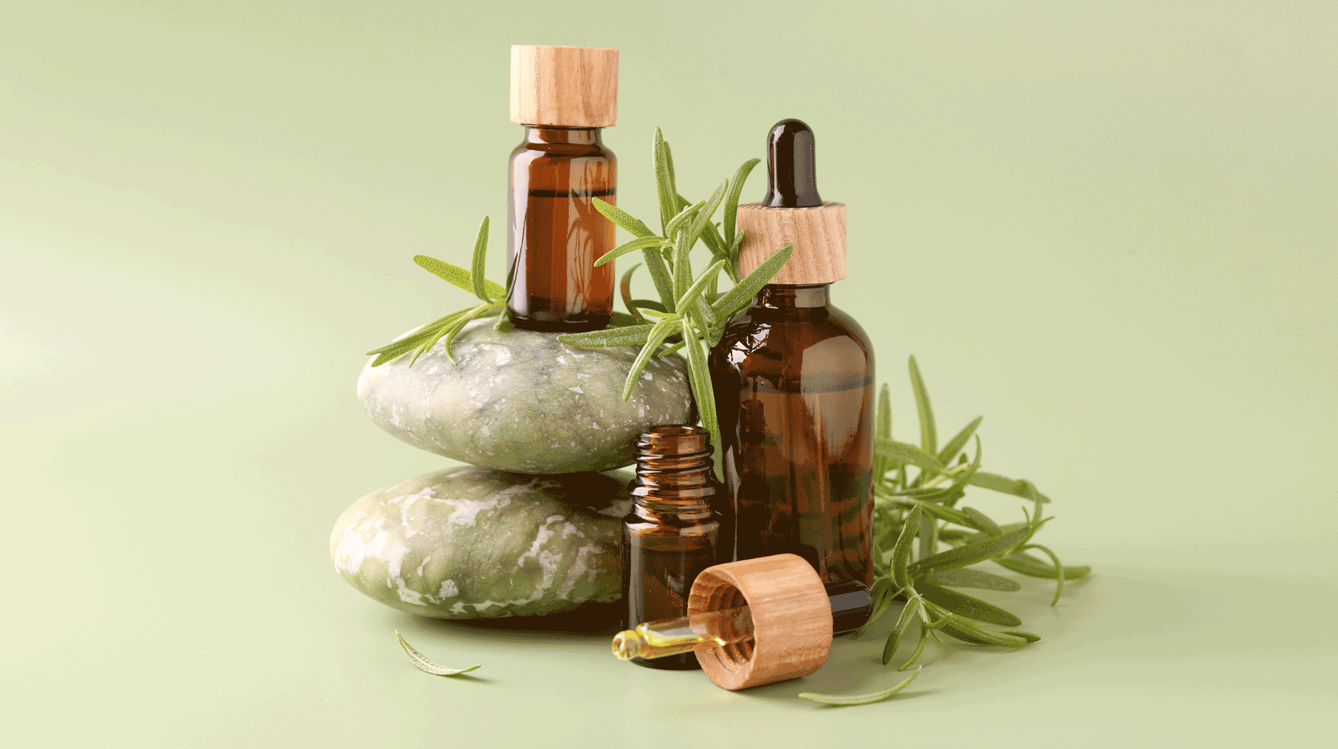 Olio essenziale di rosmarino: caratteristiche, proprietà e come usarlo