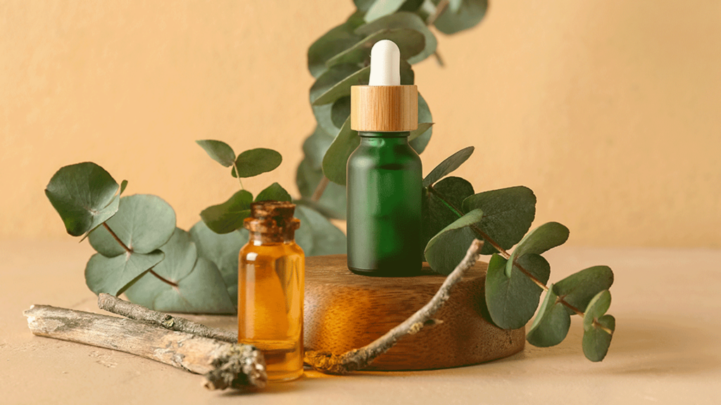 Olio essenziale di eucalipto: proprietà, usi e benefici