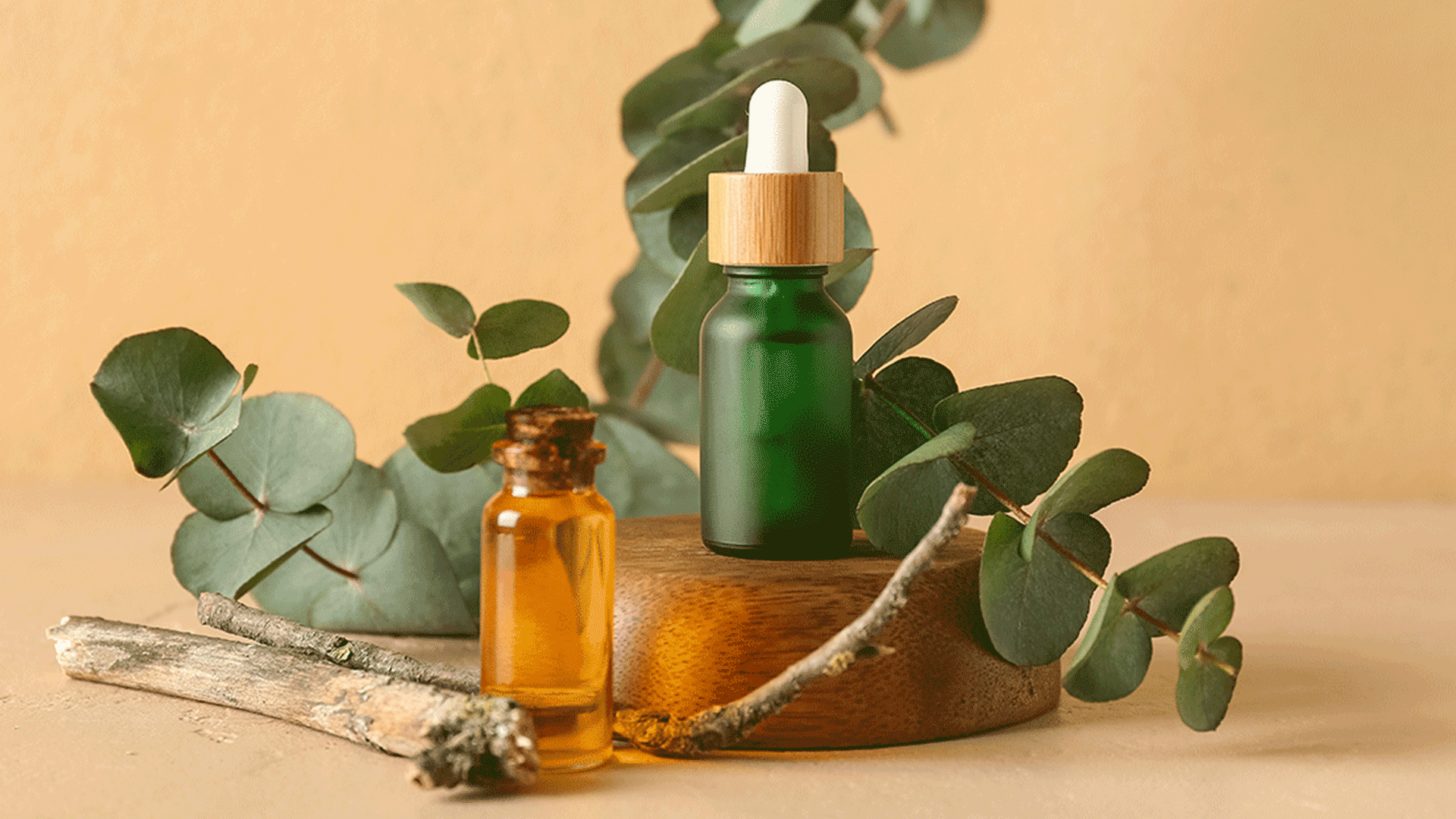 Olio essenziale di eucalipto: proprietà, usi e benefici