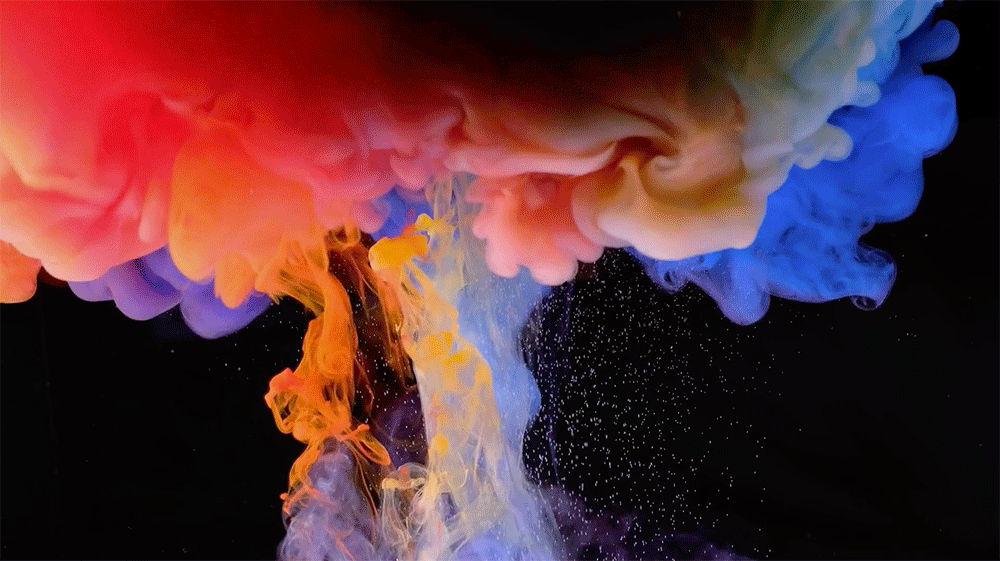 5. Fai sbocciare le tue potenzialità