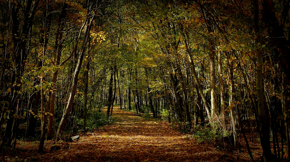 3. Supera dubbi e indecisioni