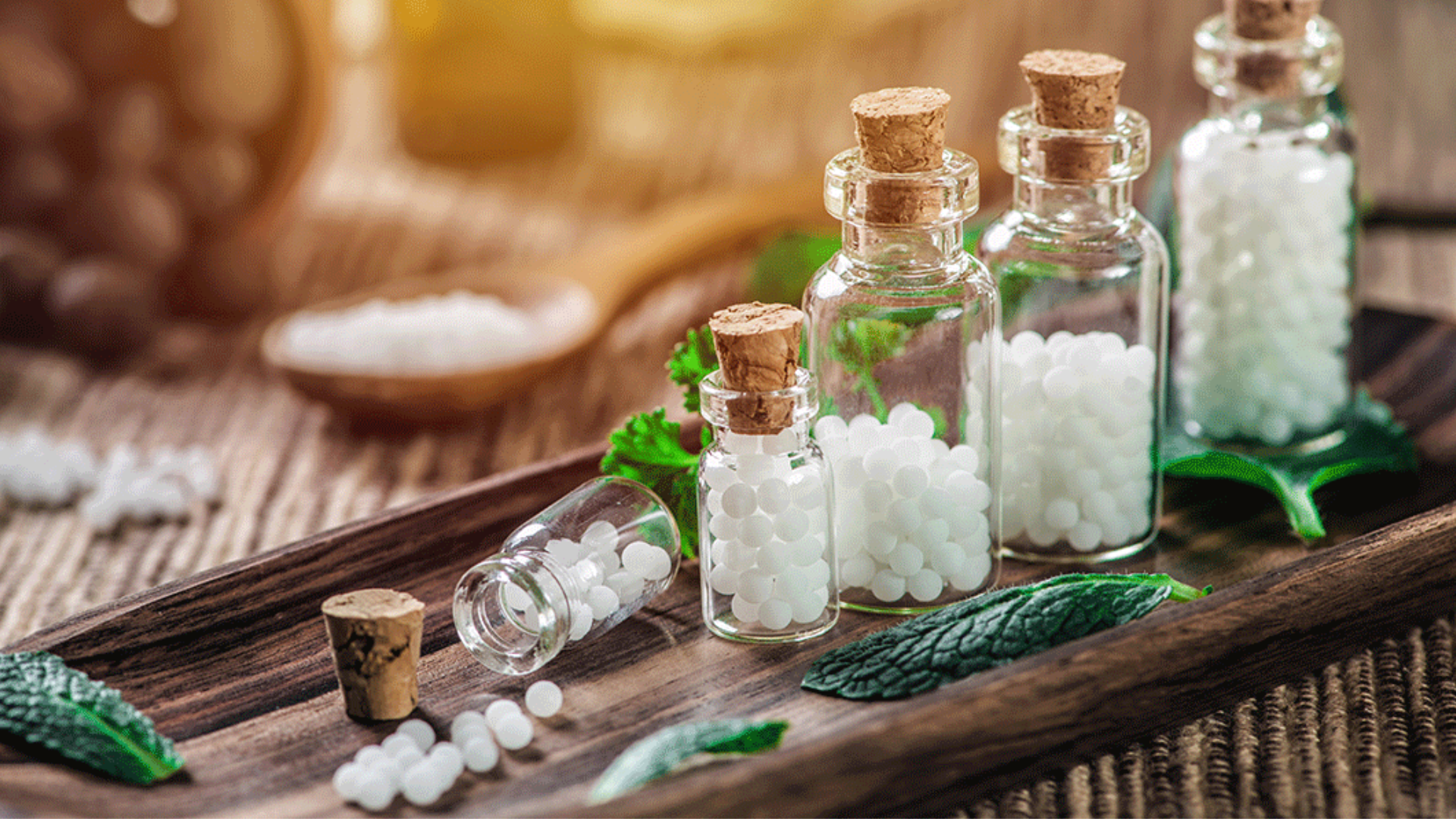 Lachesis mutus in omeopatia: benefici e controindicazioni