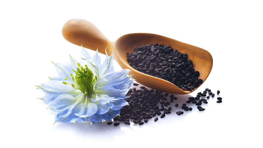 Nigella sativa: scopri la pianta, i suoi principi attivi e le proprietà