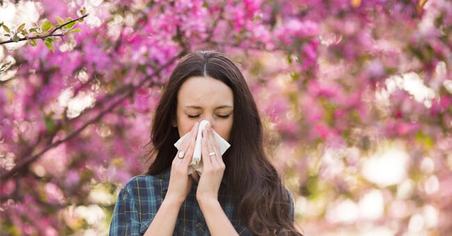 Antistaminici: contro le allergie prova prima i rimedi naturali