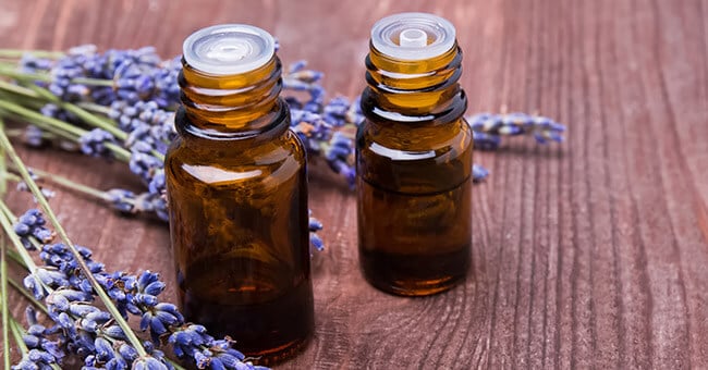 3 cicatrizzanti naturali che non ti aspetti