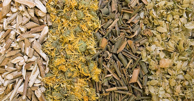 5 erbe per i dolori da freddo, reumatismi e artrite