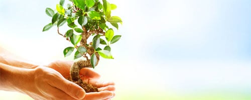 A cosa assomiglia la tua vita?