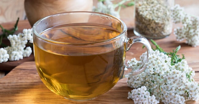 Achillea: proprietà, principi attivi e modi d'uso