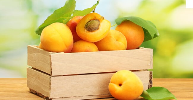 Albicocca: proprietà, benefici, valori nutrizionali