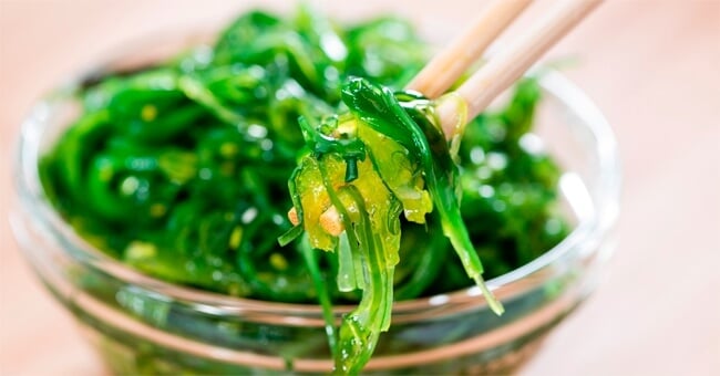 Alga kelp, l'alleato esotico della tua linea