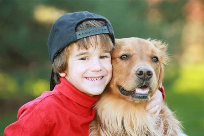 Aloe, pronto soccorso per fido e micio