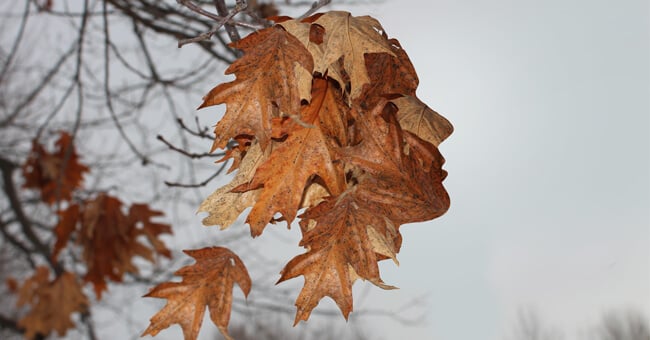 Vomito da ansia: cause e soluzioni