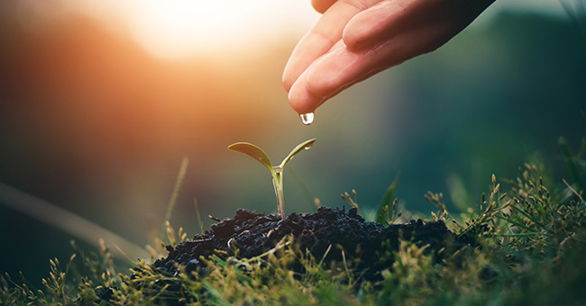Attacco di panico: ti paralizza per farti rinascere