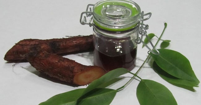 Balsamo del tolù: allevia i bronchi in affanno e l'umore nero