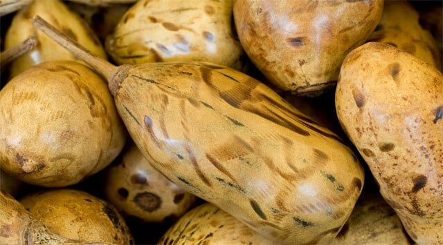 Baobab: l'integratore salva-intestino