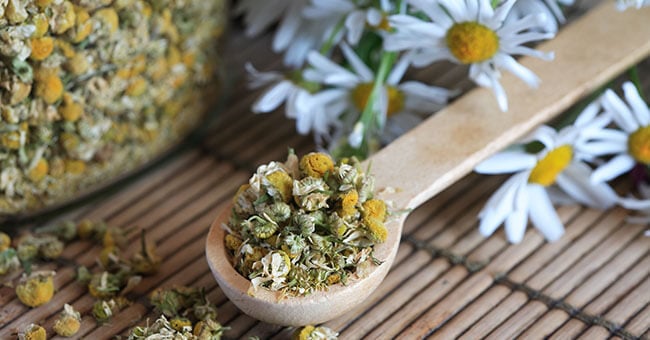 Camomilla: proprietà, principi attivi e modi d’uso