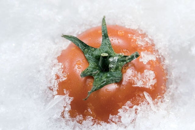 Cibi surgelati, perché no?