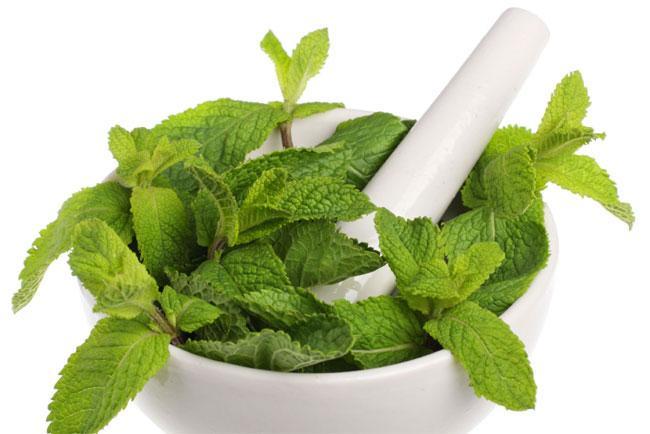 Colon irritabile? Via il dolore con la menta piperita