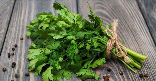 Con il coriandolo tieni a bada il colon irritabile