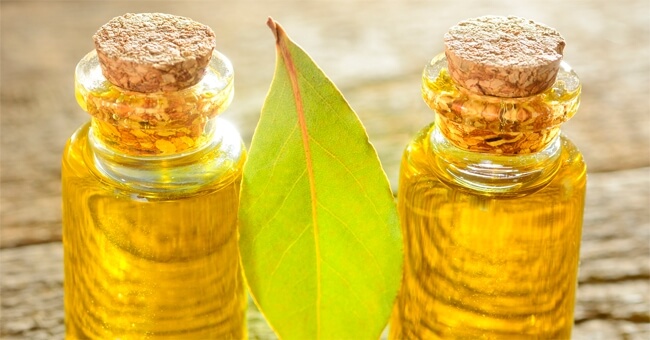 Con l'alloro proteggi ossa e articolazioni