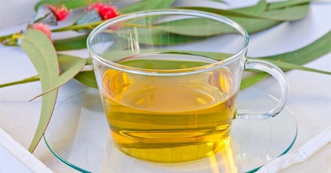 Con l'eucalipto abbassi gli zuccheri nel sangue