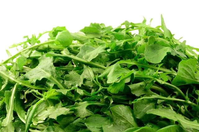 Con la cicoria via stipsi e ristagni