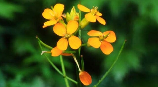 Con well being ritrovi l'equilibrio