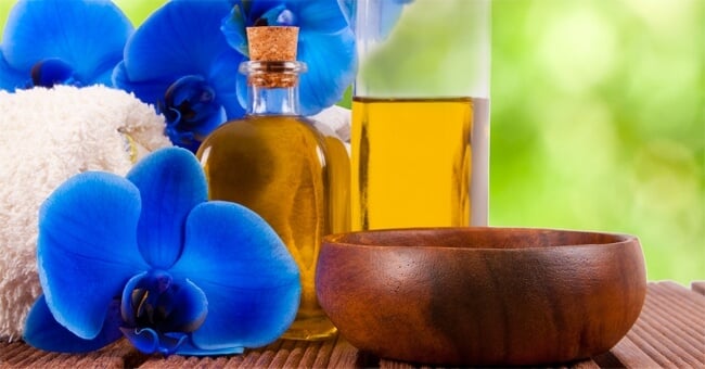 Contro la cellulite ostinata prova gli estratti d’ulivo